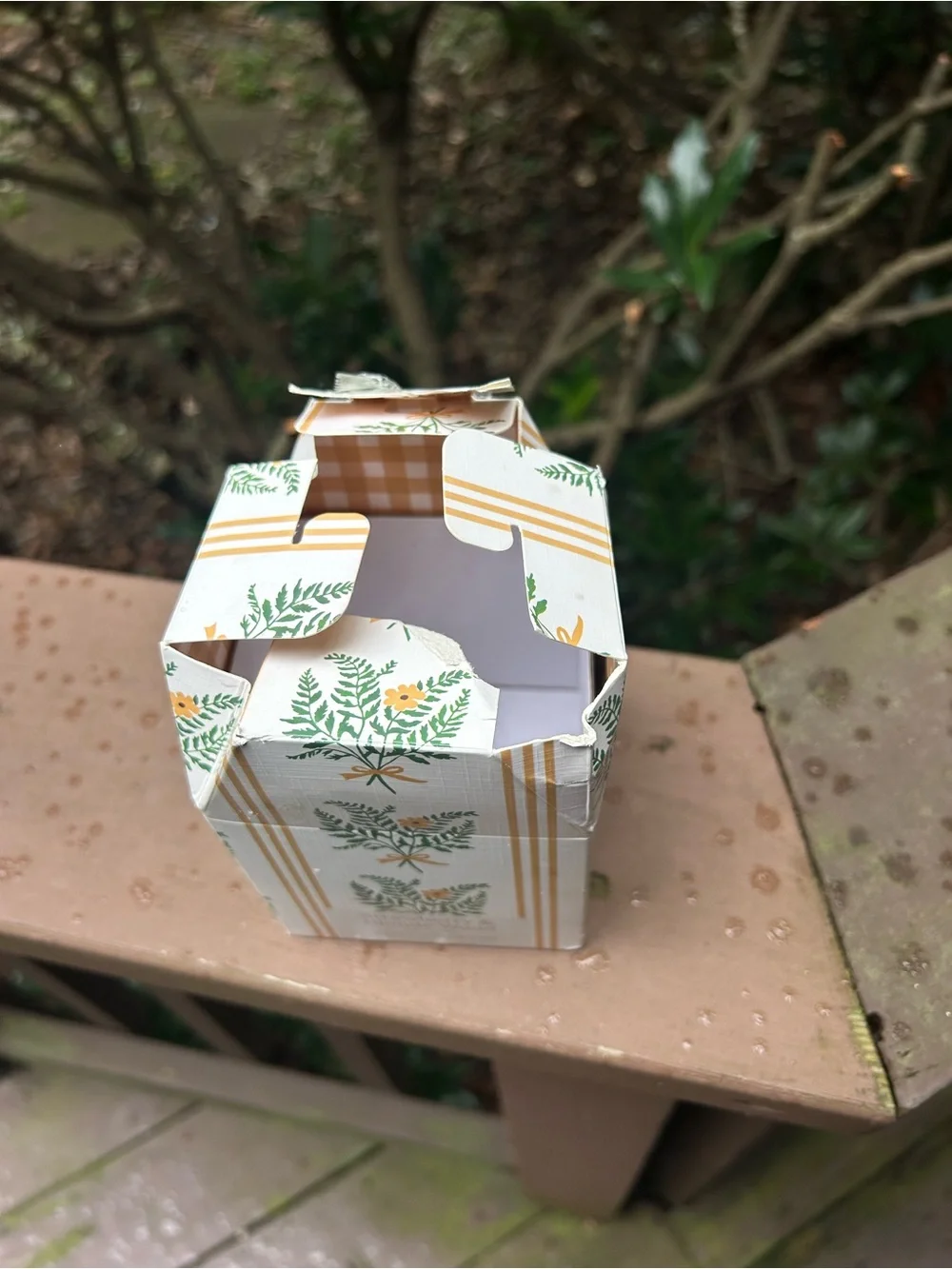 Anthropologie strawberry blond